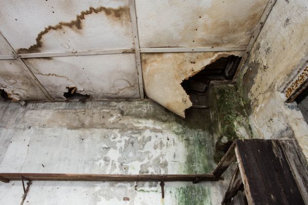 Water Damage Service in Norman