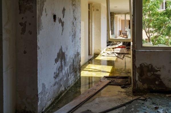 Water Removal Service in Norman
