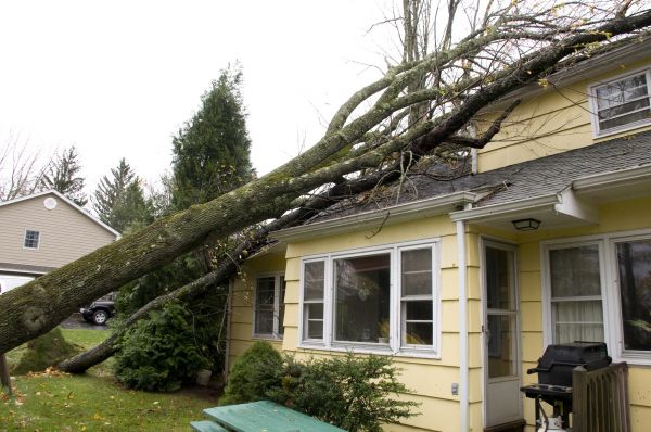 Hurricane Damage Repair in Norman