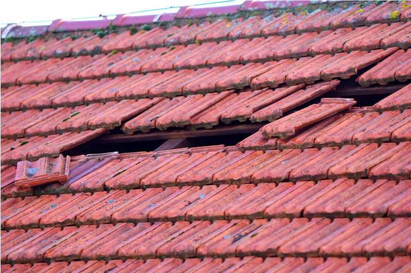 Roof Repair Specialists